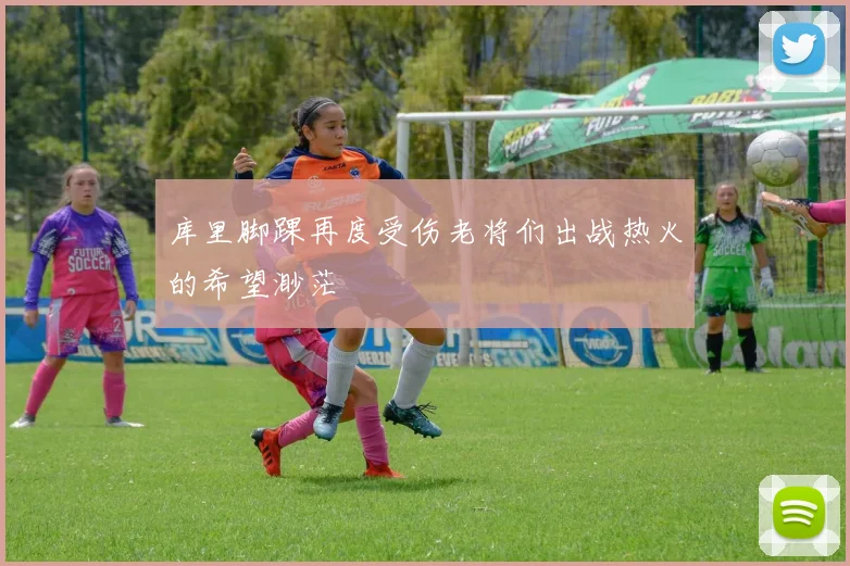库里脚踝再度受伤老将们出战热火的希望渺茫